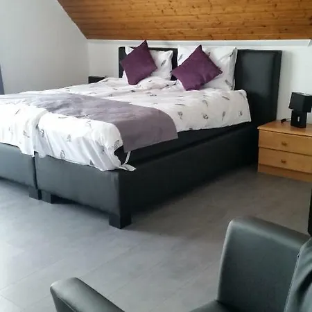 Hotel Zur Fredeburg 2*